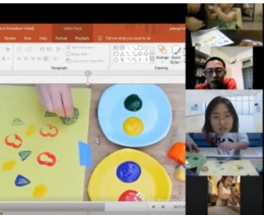 SAP virtual lesson